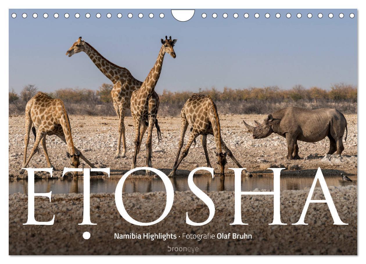 Cover: 9783383196379 | ETOSHA ¿ Namibia Highlights (Wandkalender 2024 DIN A4 quer),...