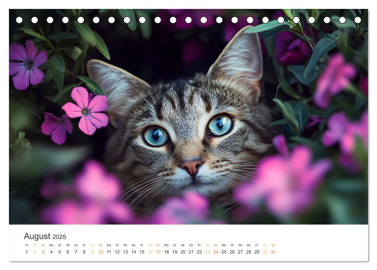 Bild: 9783457203897 | Katzen - sanfte Schönheiten (Tischkalender 2025 DIN A5 quer),...