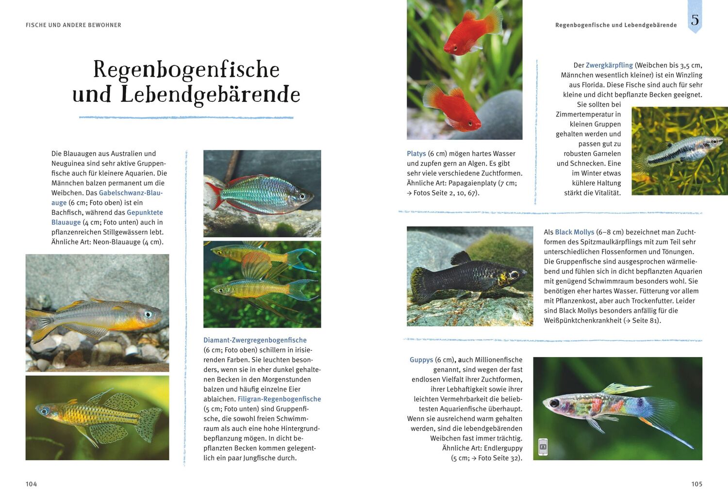 Bild: 9783833848513 | Faszinierendes Aquarium | Ulrich Schliewen | Taschenbuch | 144 S.