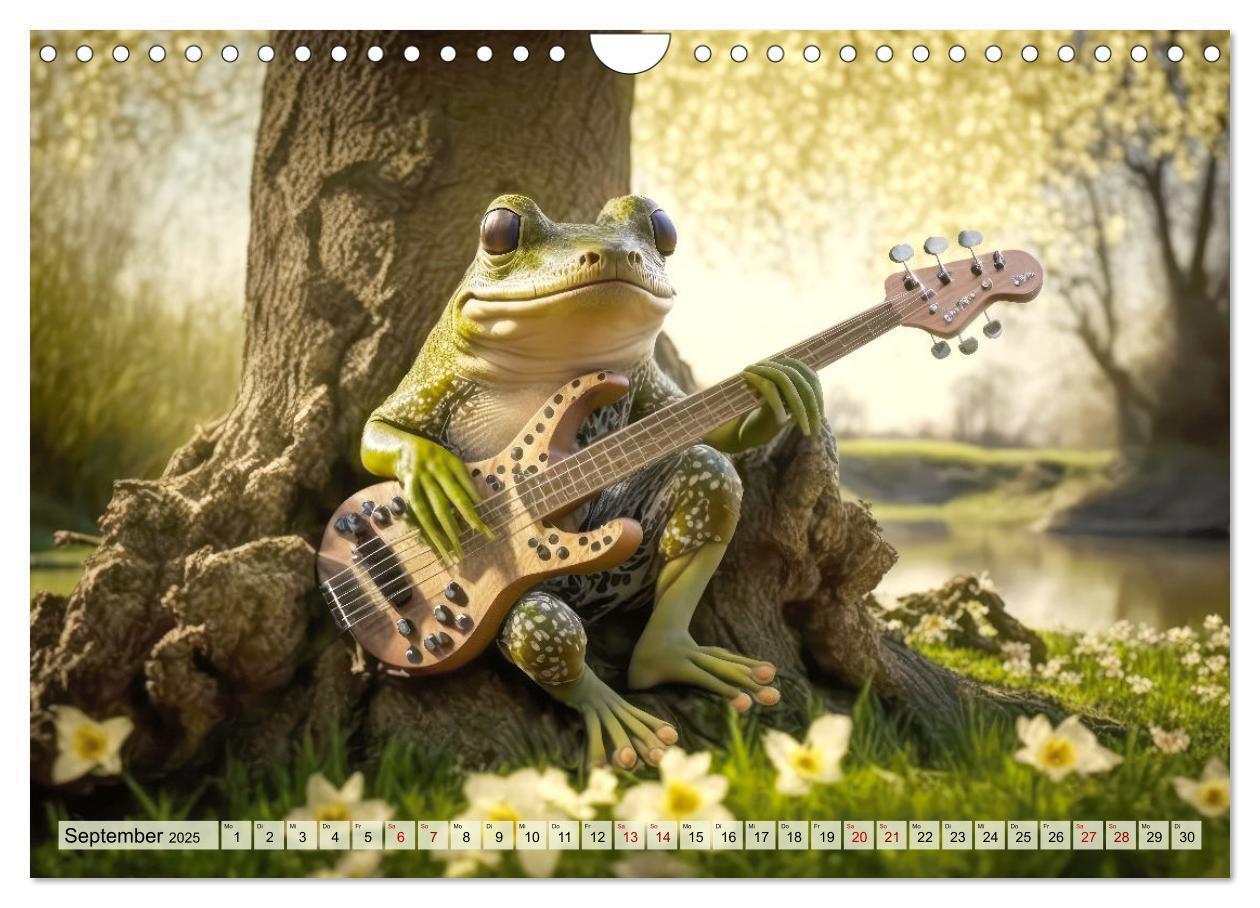 Bild: 9783383916489 | Frosch Konzert (Wandkalender 2025 DIN A4 quer), CALVENDO...