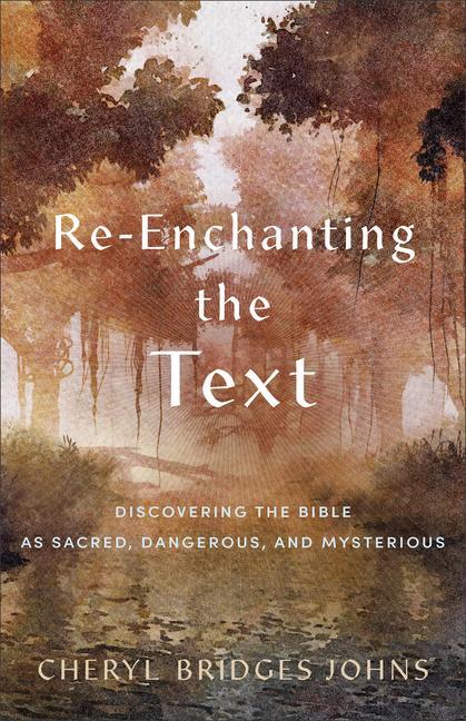 Cover: 9781540965134 | Re-enchanting the Text - Discovering the Bible as Sacred,...
