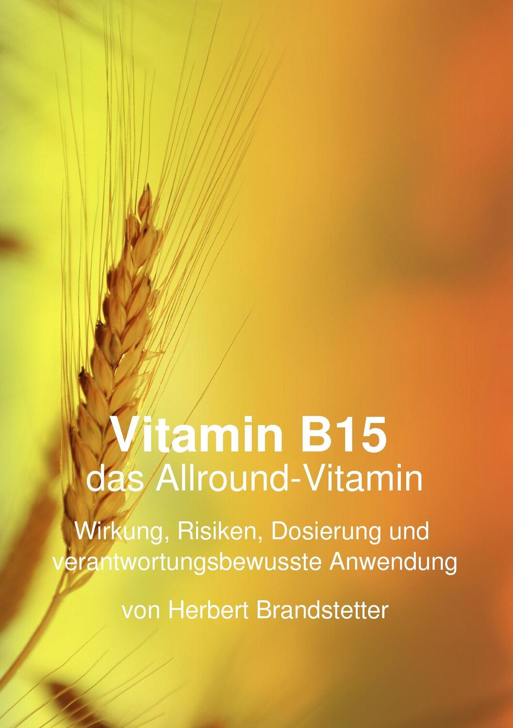 Cover: 9783735792280 | Vitamin B15 das Allround-Vitamin | Herbert Brandstetter | Taschenbuch