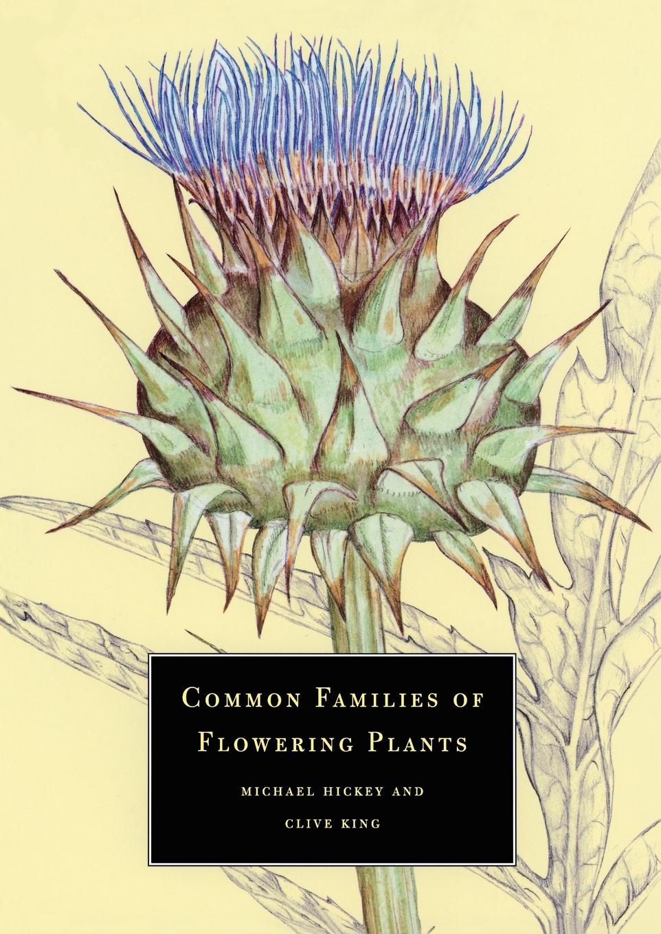 Cover: 9780521576093 | Common Families of Flowering Plants | Hickey Michael (u. a.) | Buch