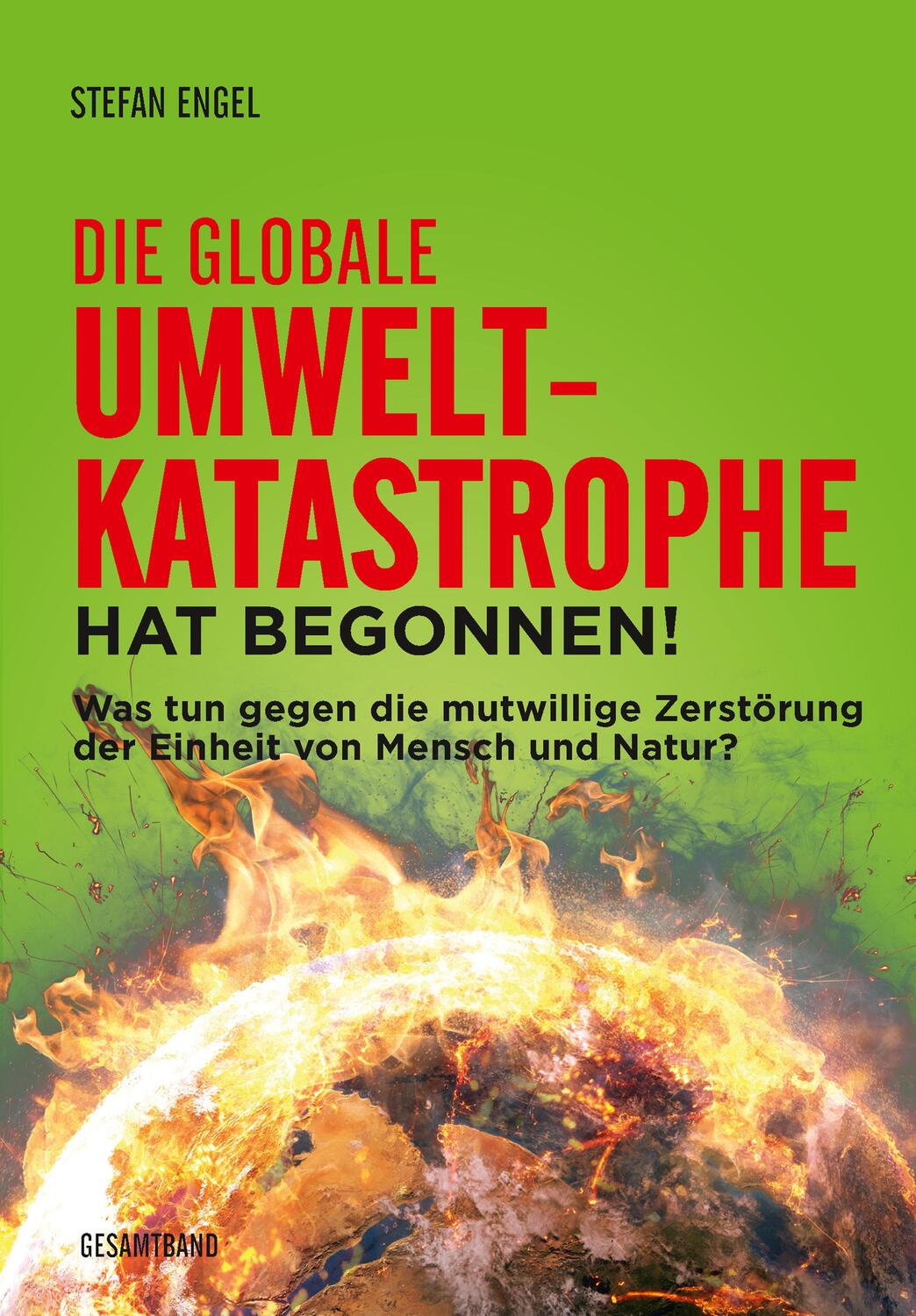 Cover: 9783880216778 | Die globale Umweltkatastrophe hat begonnen! | Stefan Engel (u. a.)