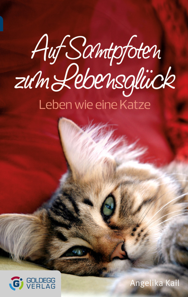 Cover: 9783902903693 | Auf Samtpfoten zum Lebensglück - Taschenbuchausgabe | Angelika Kail