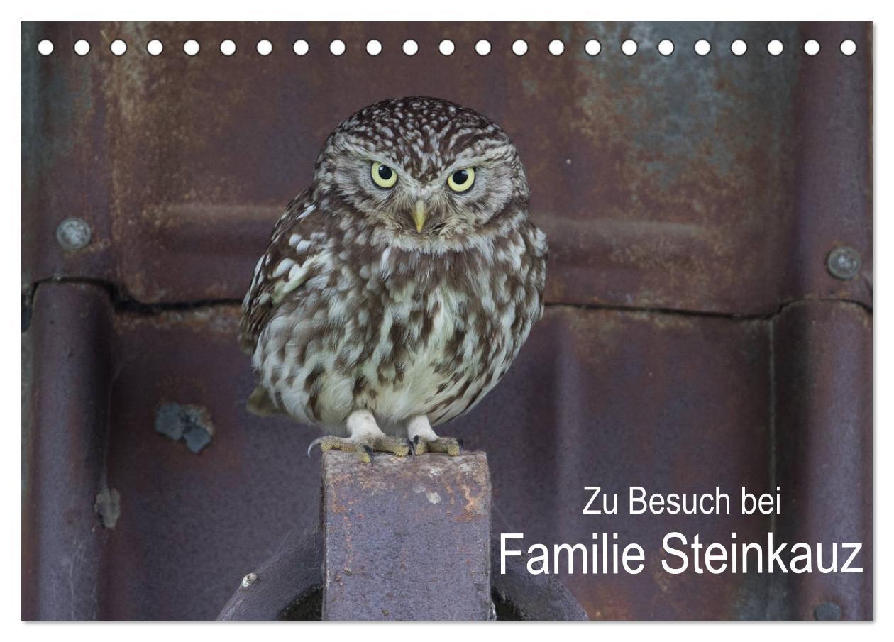 Cover: 9783675520820 | Zu Besuch bei Familie Steinkauz (Tischkalender 2024 DIN A5 quer),...