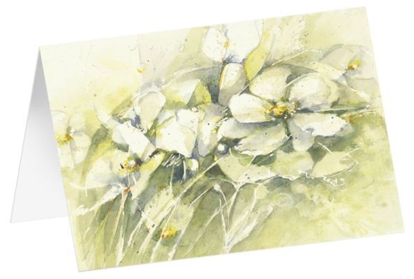Bild: 4250454730077 | Kunstkarten-Set "Blütenpracht" | im Schmuckkarton | Stefanie Bahlinger