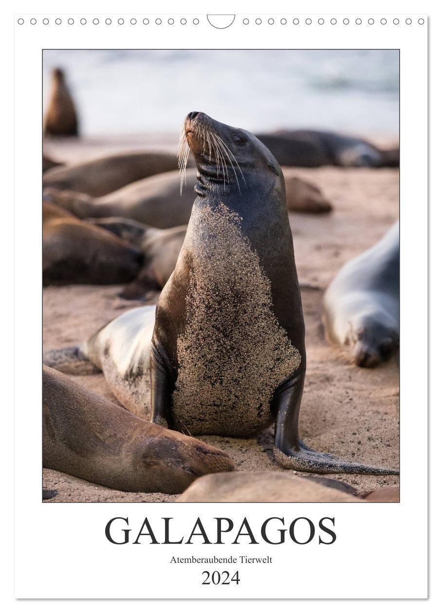 Cover: 9783383116421 | Galapagos - Atemberaubende Tierwelt (Wandkalender 2024 DIN A3...