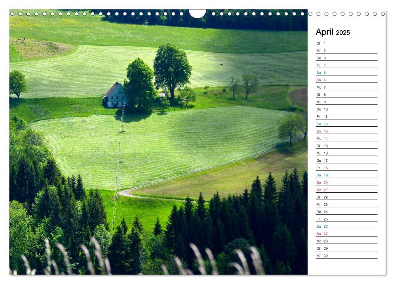 Bild: 9783435693313 | Hochschwarzwald (Wandkalender 2025 DIN A3 quer), CALVENDO...