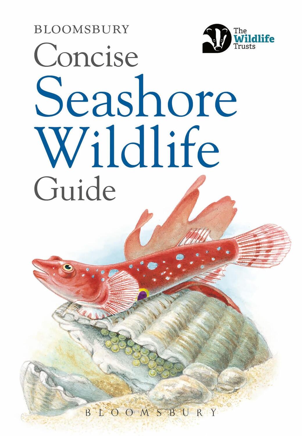 Cover: 9781472968296 | Concise Seashore Wildlife Guide | Bloomsbury | Taschenbuch | Englisch