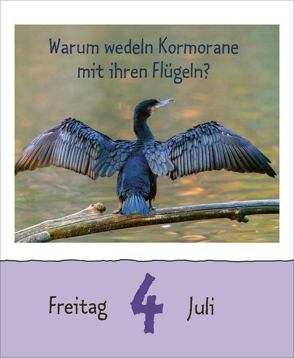 Bild: 9783731877479 | Wie faul ist das Faultier? 2025 | Verlag Korsch | Kalender | 328 S.