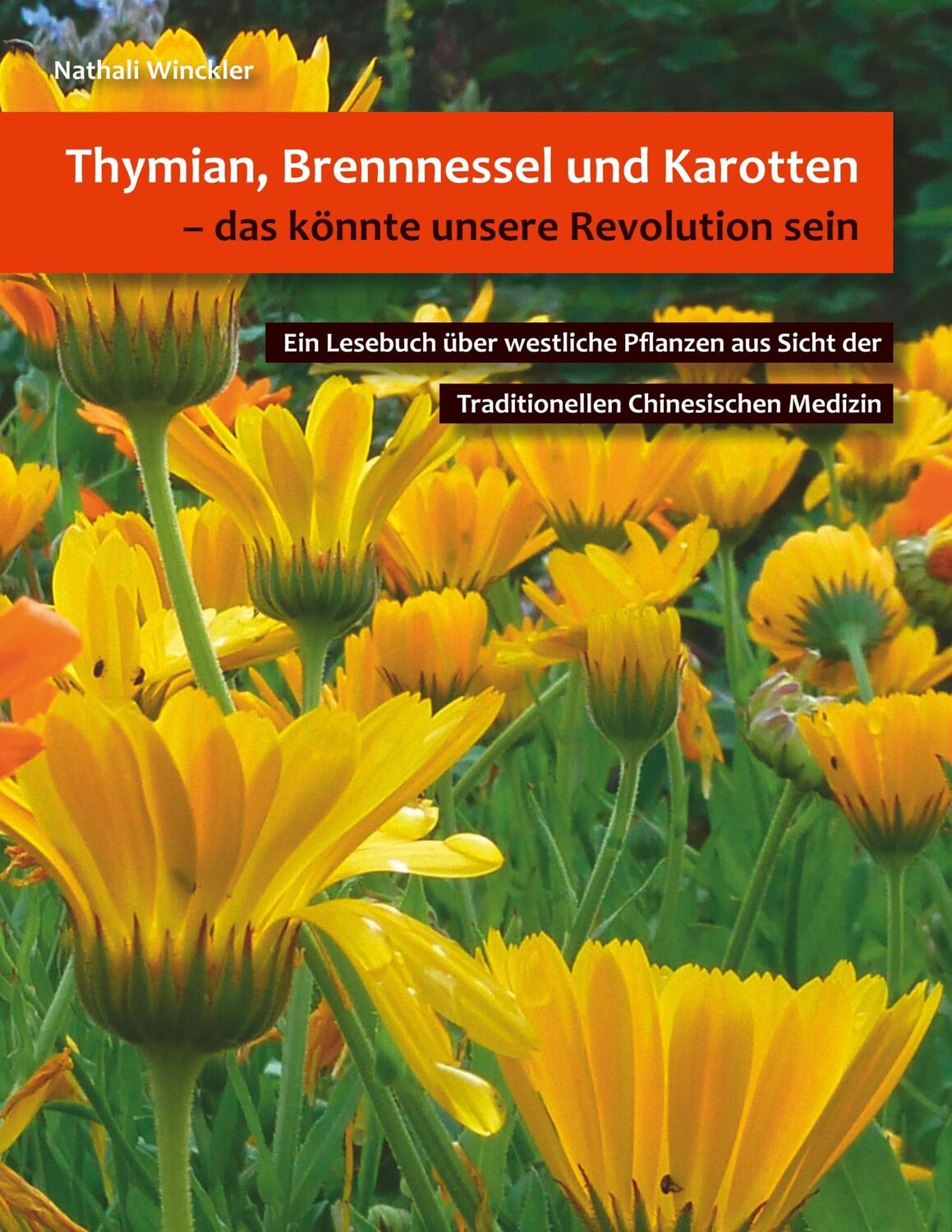 Cover: 9783744890342 | Thymian, Brennnessel und Karotten, das könnte unsere Revolution sein