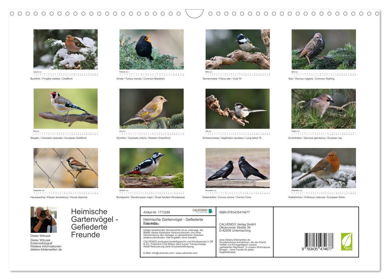 Bild: 9783435474677 | Heimische Gartenvögel - Gefiederte Freunde (Wandkalender 2025 DIN...