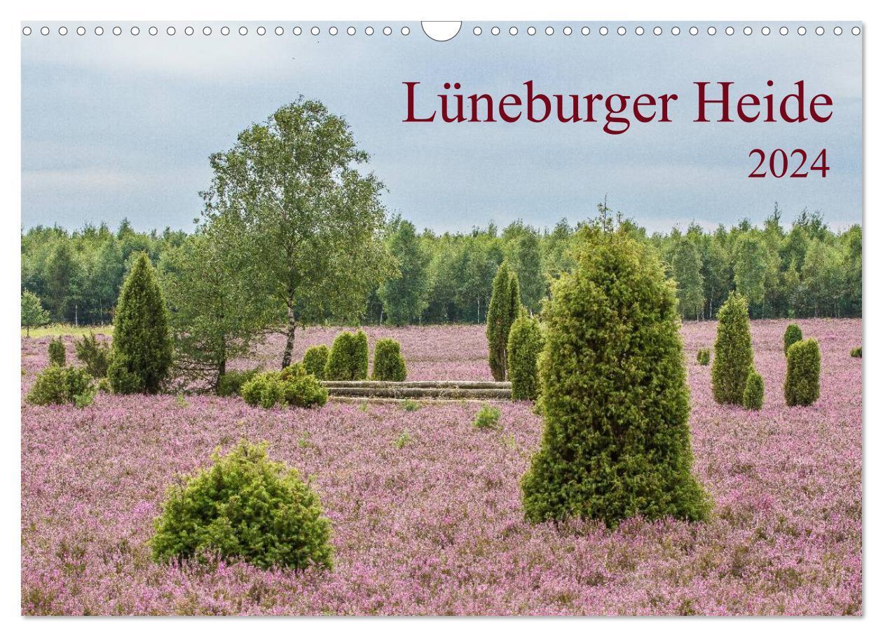 Cover: 9783383566622 | Lüneburger Heide (Wandkalender 2024 DIN A3 quer), CALVENDO...