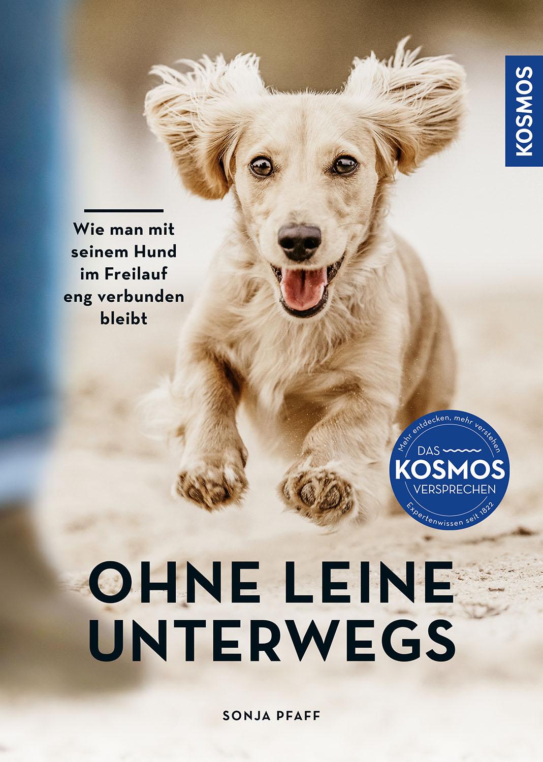 Cover: 9783440169186 | Ohne Leine unterwegs | Sonja Pfaff | Taschenbuch | 160 S. | Deutsch