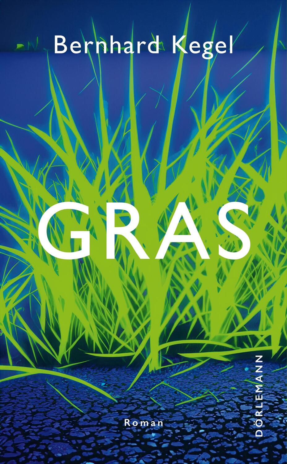 Cover: 9783038201380 | Gras | Roman | Bernhard Kegel | Buch | 384 S. | Deutsch | 2024