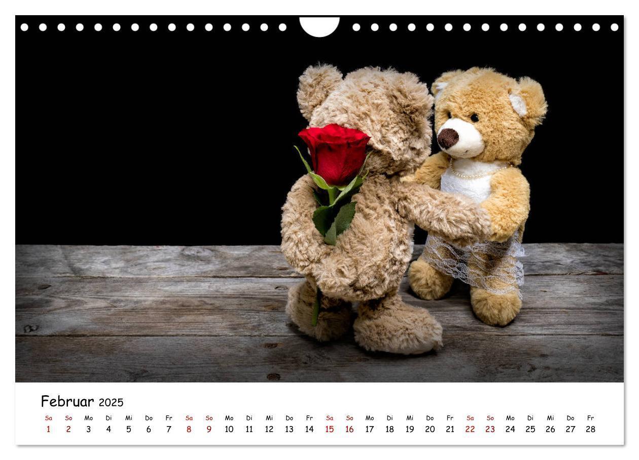 Bild: 9783435254767 | Eddy, der Teddy (Wandkalender 2025 DIN A4 quer), CALVENDO...