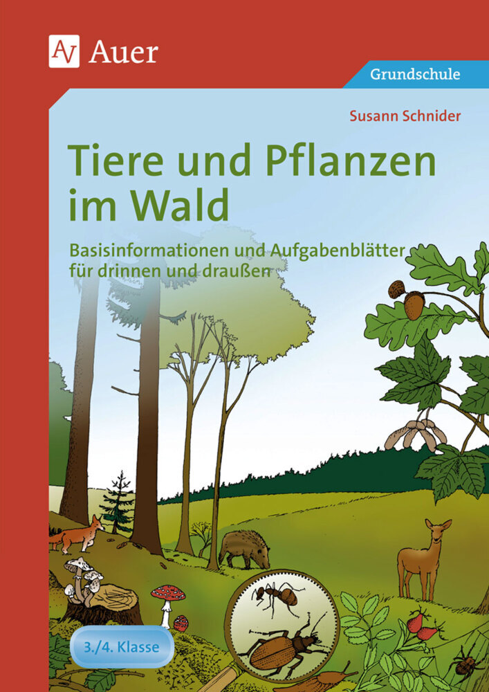 Cover: 9783403065951 | Tiere und Pflanzen im Wald | Susann Schnider | Taschenbuch | 96 S.