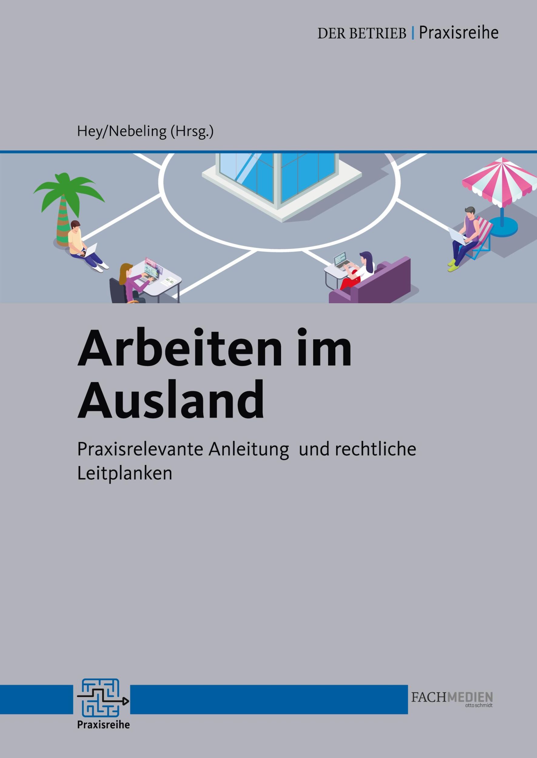 Cover: 9783910460034 | Arbeiten im Ausland | Thomas Hey (u. a.) | Taschenbuch | Paperback