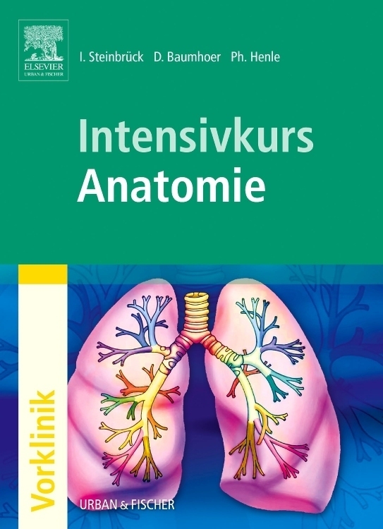 Cover: 9783437436703 | Intensivkurs Anatomie | Ingo Steinbrück (u. a.) | Taschenbuch | VIII