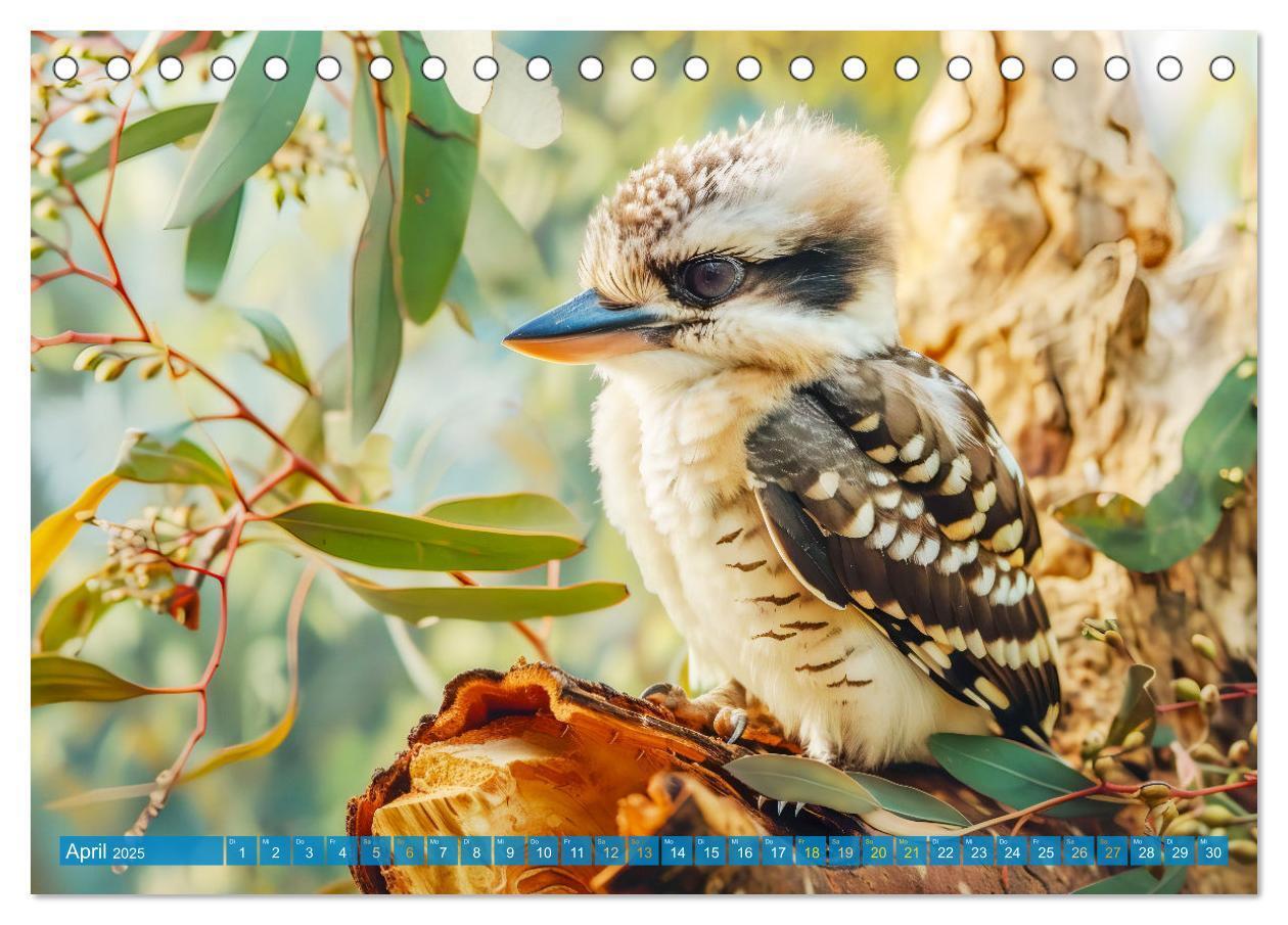 Bild: 9783383777936 | Der Kookaburra - Im australischen Busch mit dem lachenden Hans...