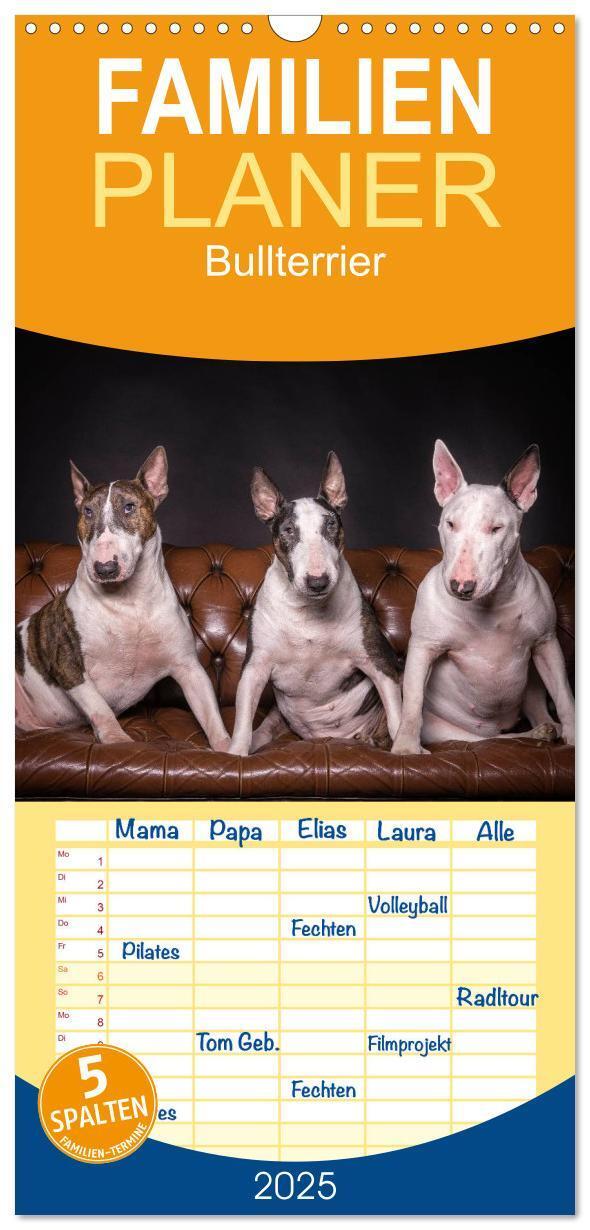 Cover: 9783457123768 | Familienplaner 2025 - Bullterrier mit 5 Spalten (Wandkalender, 21 x...