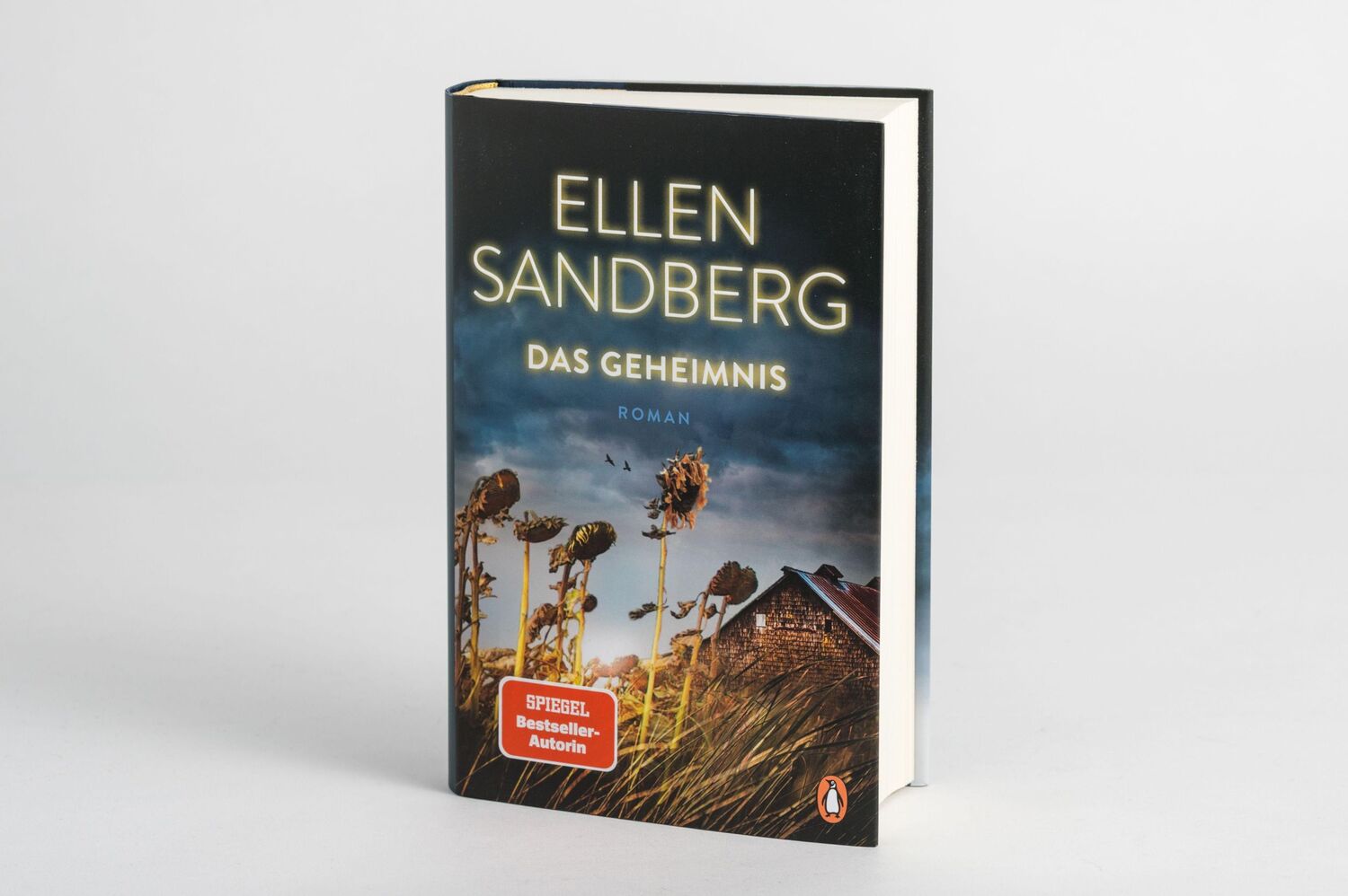 Bild: 9783328601968 | Das Geheimnis | Ellen Sandberg | Buch | 432 S. | Deutsch | 2021