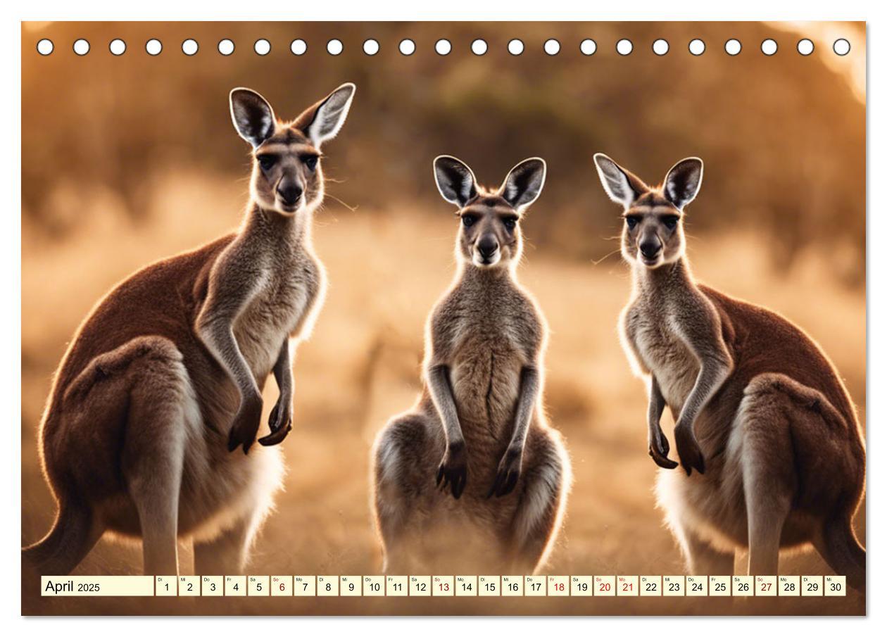 Bild: 9783435719402 | Australiens faszinierende Fauna (Tischkalender 2025 DIN A5 quer),...