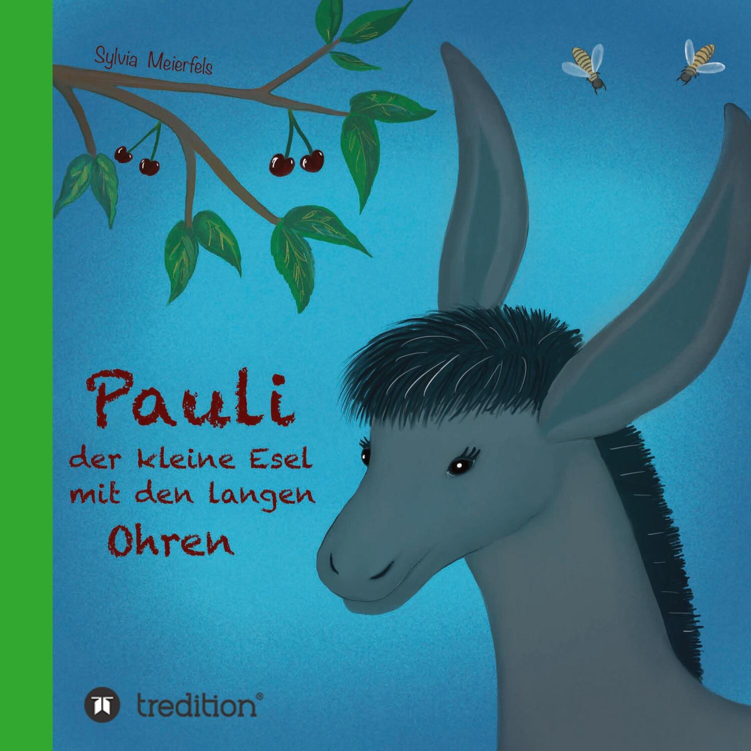 Cover: 9783749752621 | Pauli, der kleine Esel mit den langen Ohren | Sylvia Meierfels | Buch