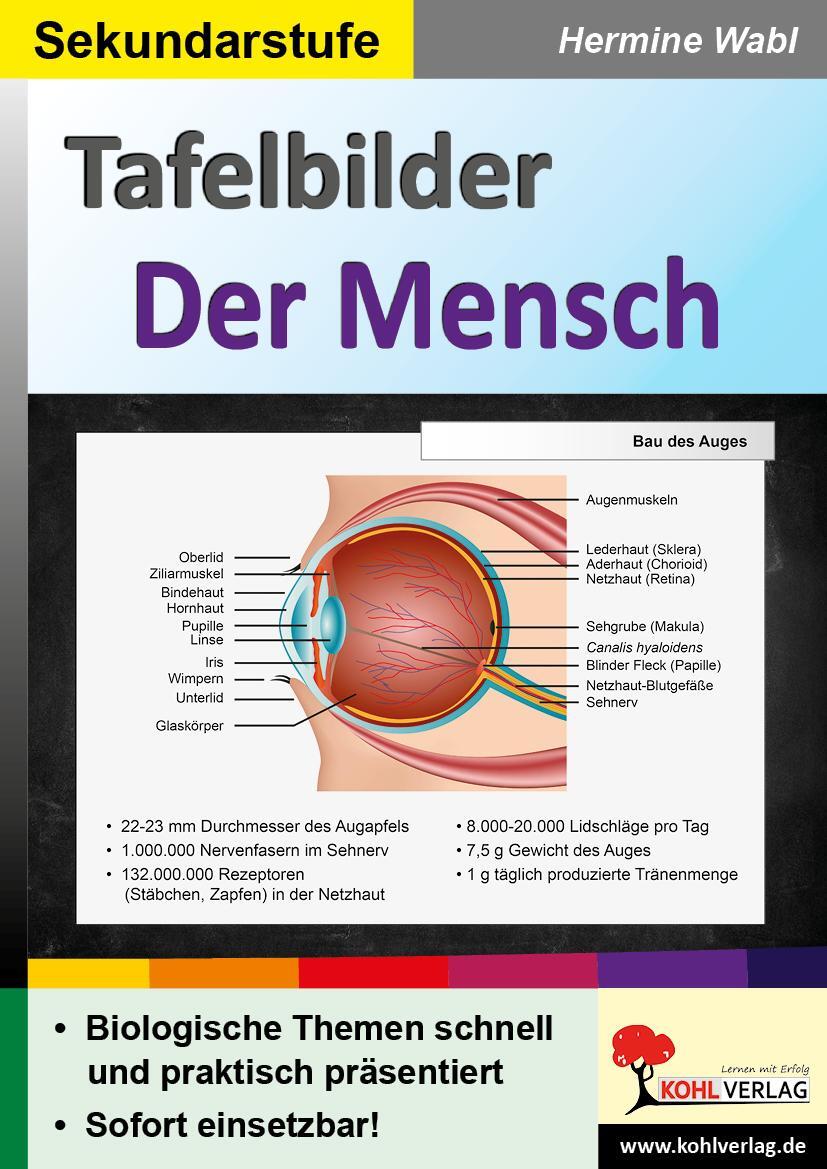 Cover: 9783985583171 | Tafelbilder Der Mensch | Hermine Wabl | Taschenbuch | Deutsch | 2022