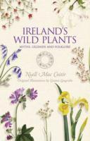 Cover: 9781848892491 | Ireland's Wild Plants | Niall Mac Coitir | Taschenbuch | Englisch