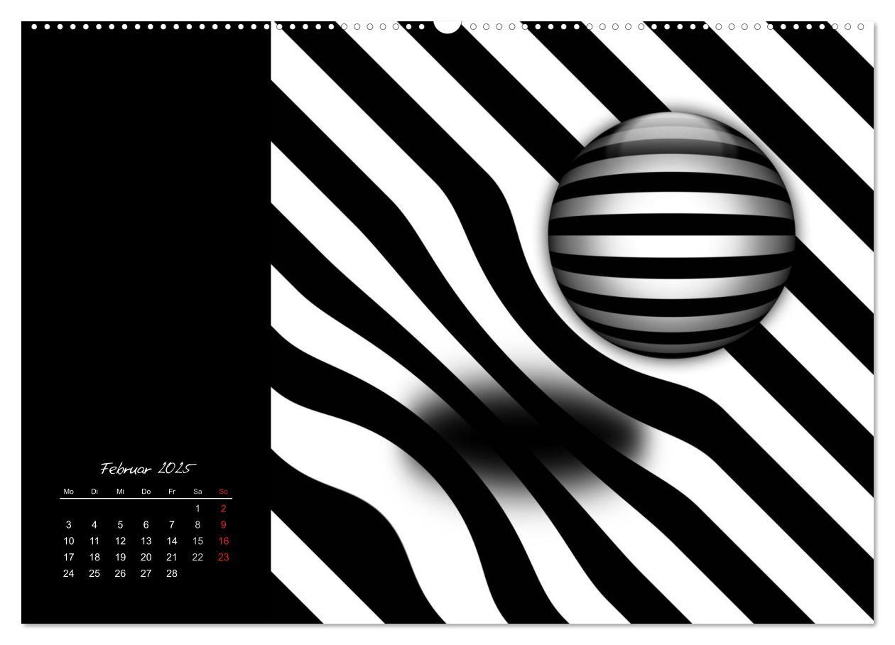 Bild: 9783435794522 | Schwarz trifft Weiß (Wandkalender 2025 DIN A2 quer), CALVENDO...