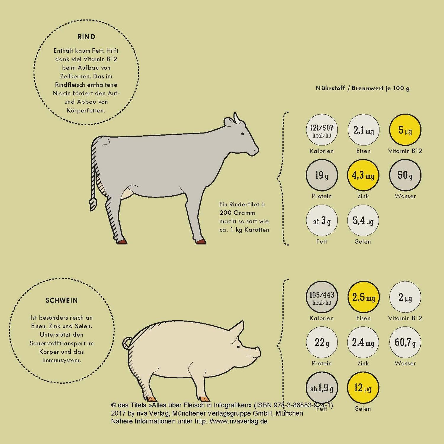 Bild: 9783868839241 | Alles über Fleisch in Infografiken | Daniel Wiechmann | Buch | Deutsch