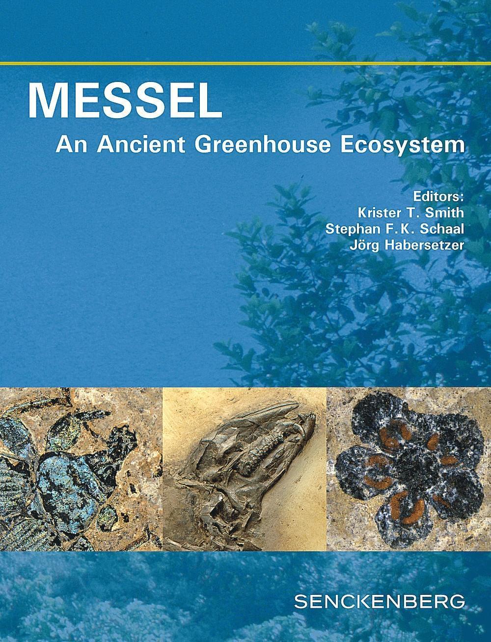 Cover: 9783510614110 | MESSEL - An Ancient Greenhouse Ecosystem | Krister T. Smith (u. a.)