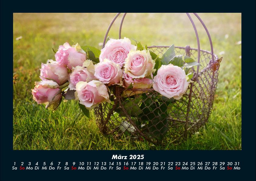 Bild: 9783755981671 | Rosen-Kalender 2025 Fotokalender DIN A4 | Tobias Becker | Kalender