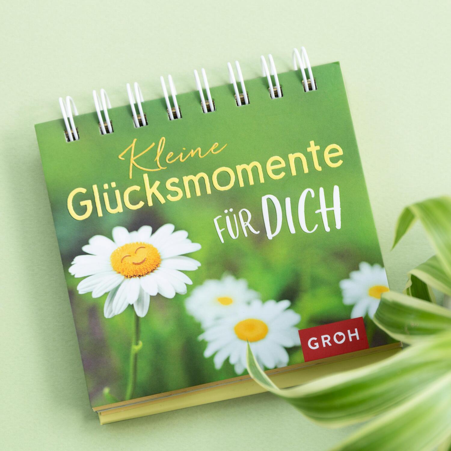 Bild: 9783848523771 | Kleine Glücksmomente für dich | Groh Verlag | Taschenbuch | 144 S.