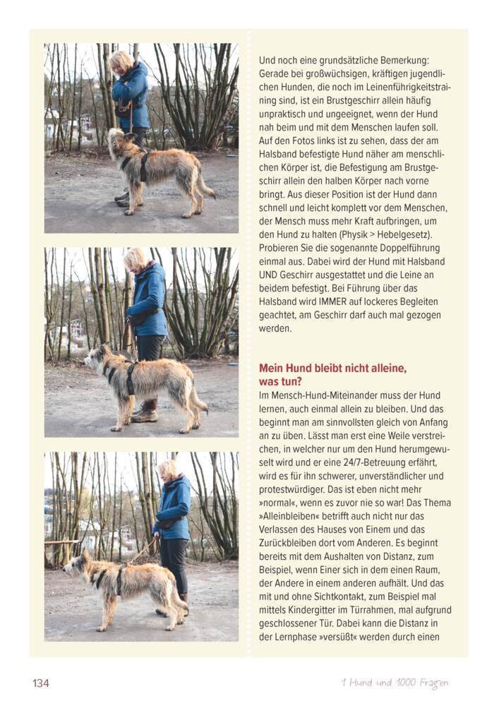 Bild: 9783275022441 | Ein Hund und 1000 Fragen | Basics für frischgebackene Hundehalter