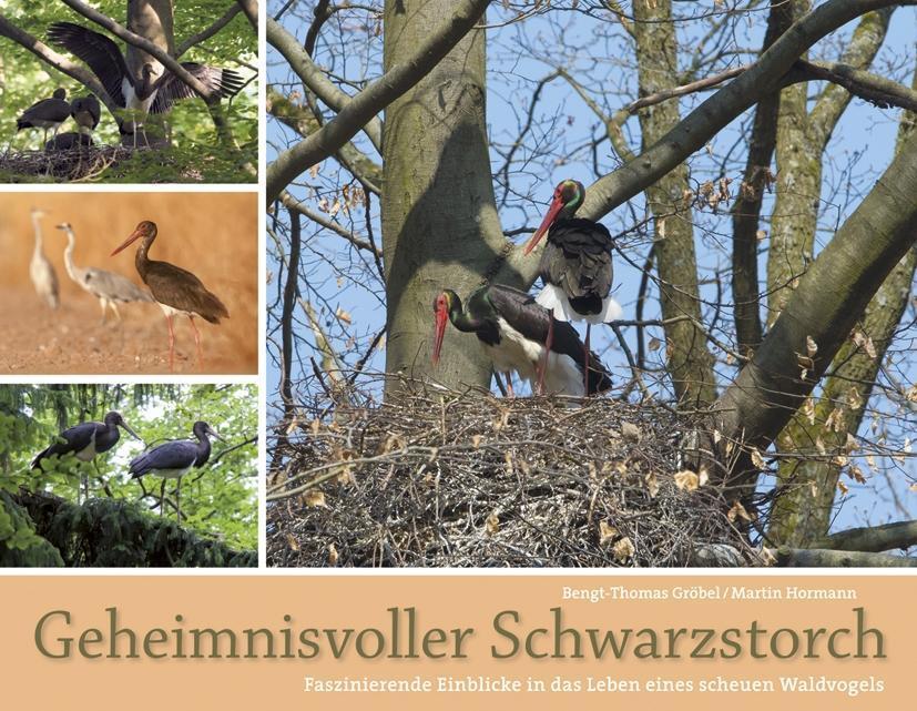 Cover: 9783891047866 | Geheimnisvolle Schwarzstörche | Bengt Thomas Gröbel (u. a.) | Buch