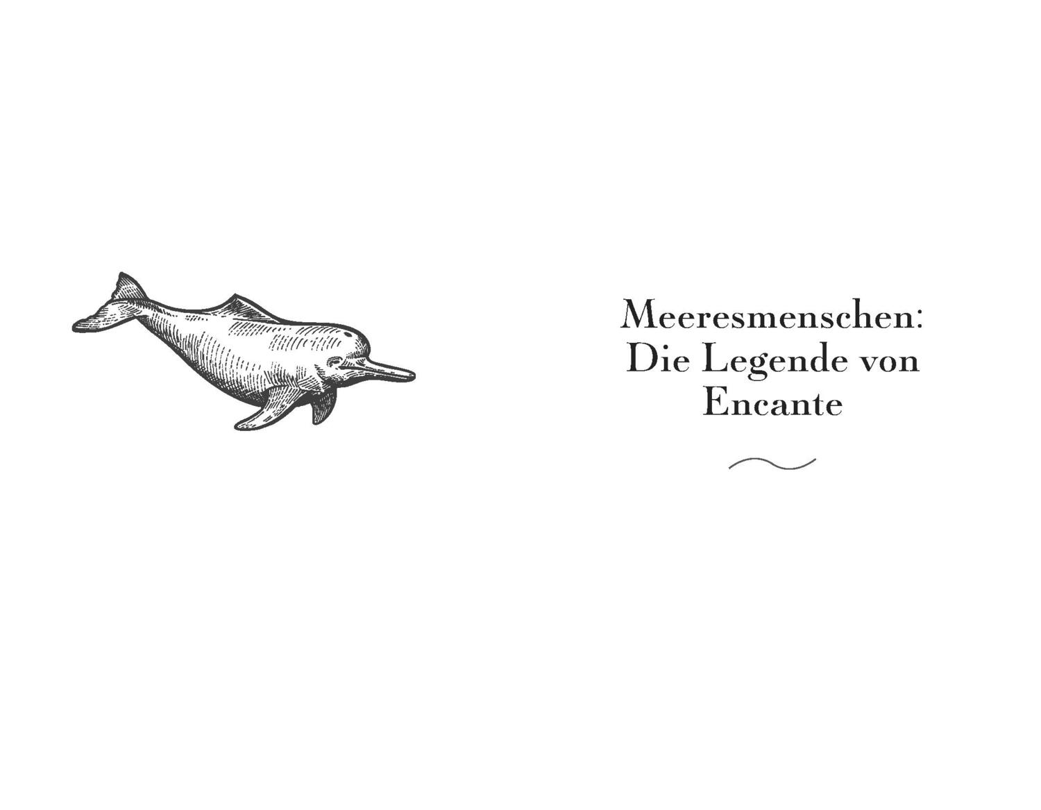 Bild: 9783959102940 | Der Ruf der rosa Delfine | Sy Montgomery | Buch | 272 S. | Deutsch