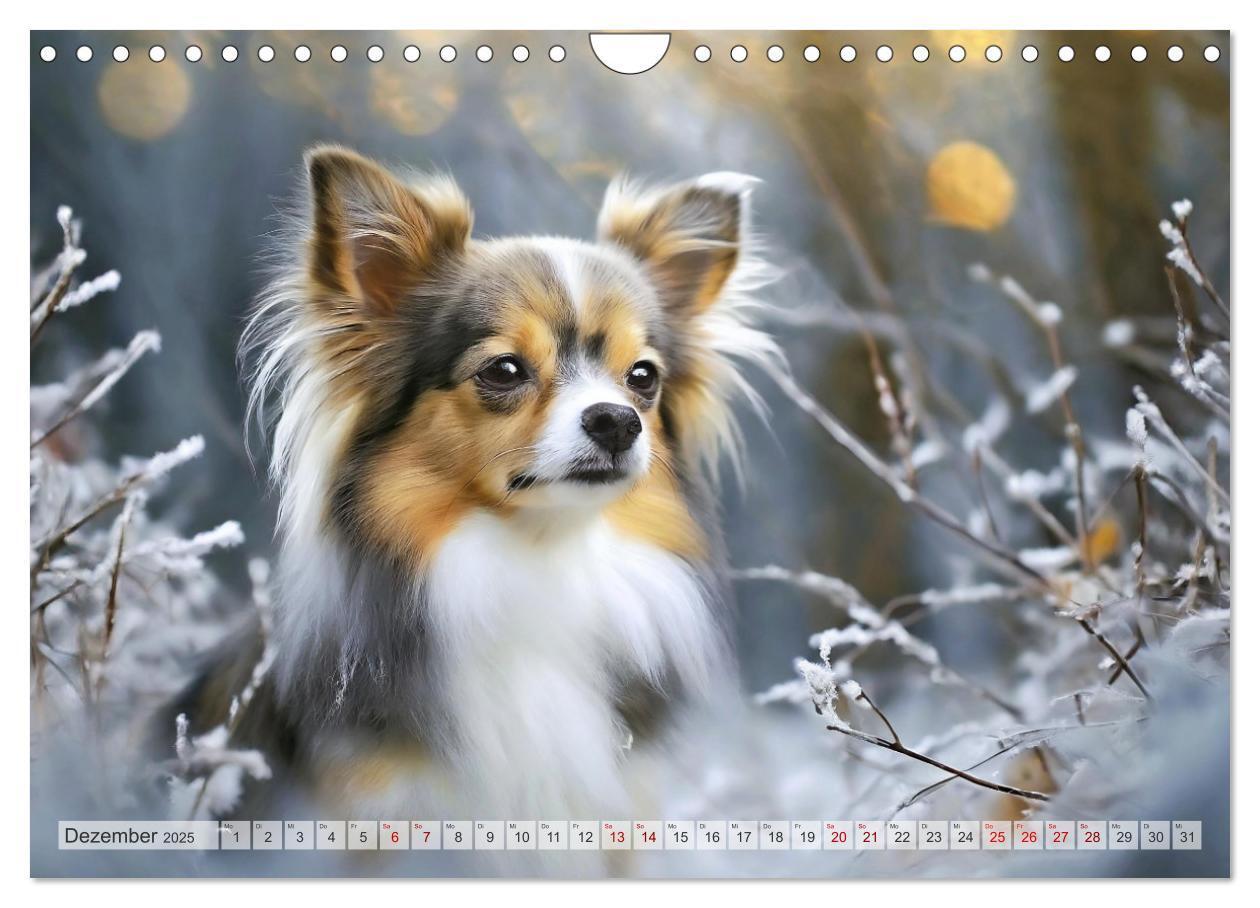 Bild: 9783383811456 | Chihuahuas - Kleine Hunde - große Temperamentbündel (Wandkalender...