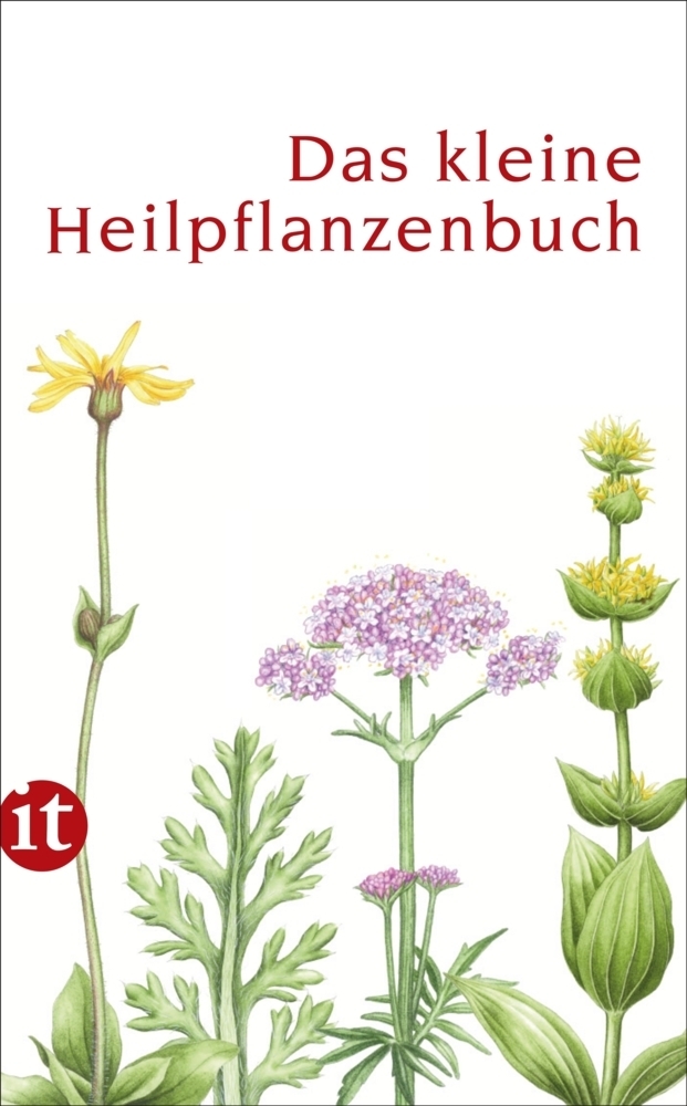 Cover: 9783458359838 | Das kleine Heilpflanzenbuch | Catrin Cohnen | Taschenbuch | Deutsch