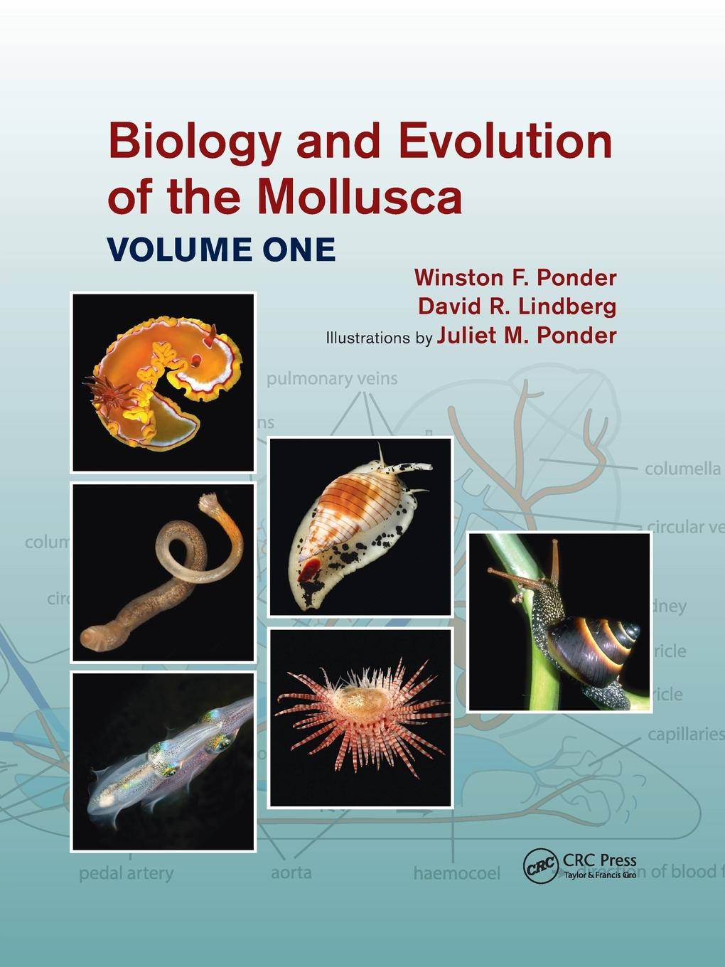 Cover: 9781032176604 | Biology and Evolution of the Mollusca, Volume 1 | Ponder (u. a.)