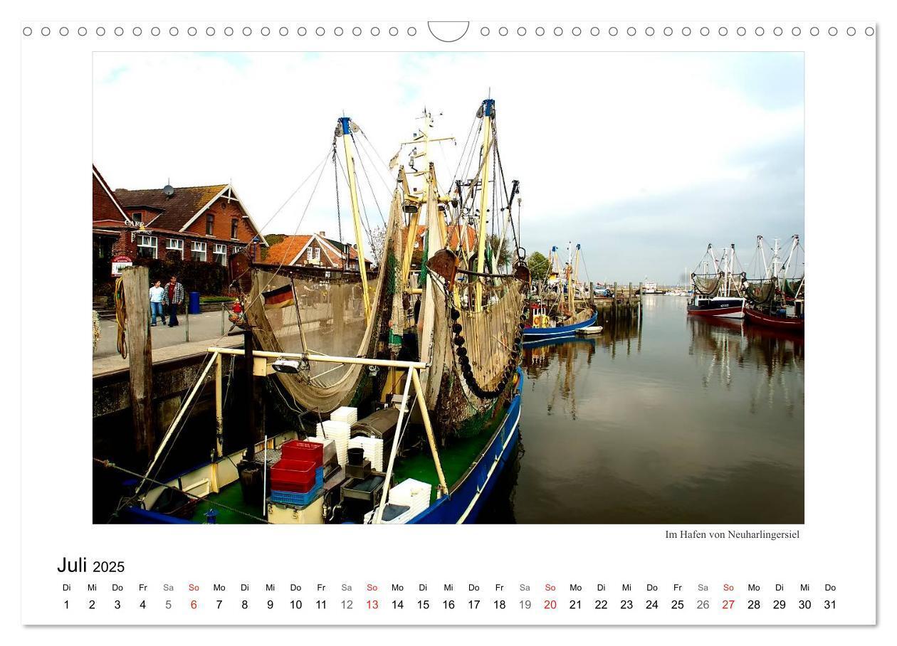 Bild: 9783435832392 | Krabbenkutter in Ostfriesland (Wandkalender 2025 DIN A3 quer),...