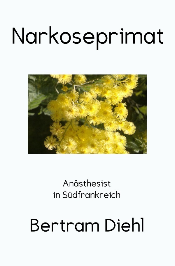 Cover: 9783752979978 | Narkoseprimat | Anästhesist in Südfrankreich | Bertram Diehl | Buch