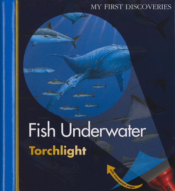 Cover: 9781851034093 | Fish Underwater | Claude Delafosse | Taschenbuch | 38 S. | Englisch