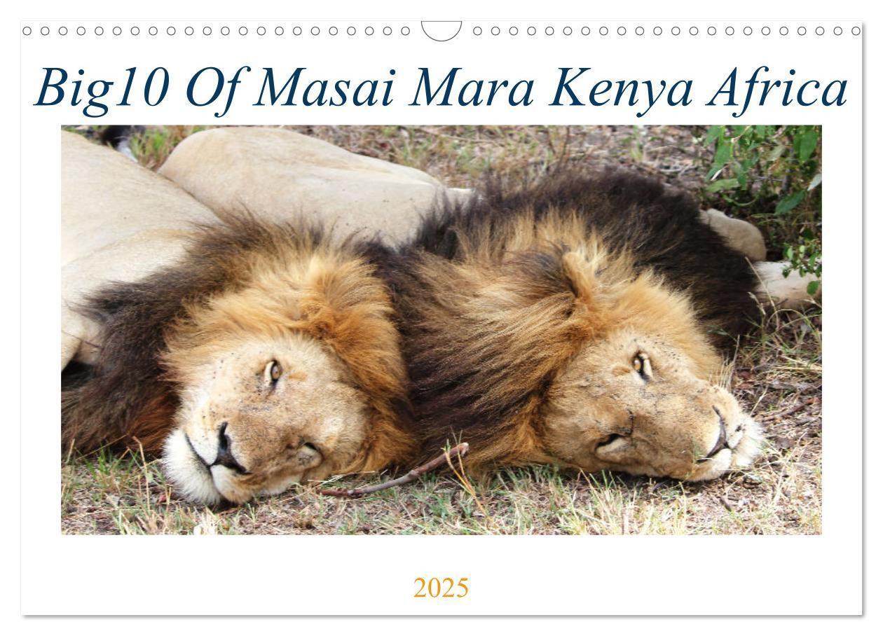 Cover: 9781325837038 | Big10 Of Masai Mara Kenya Africa (Wall Calendar 2025 DIN A3...