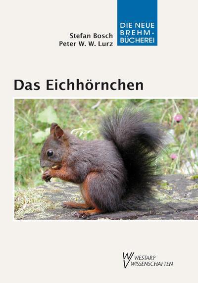 Das Eichhörnchen - Bosch, Stefan