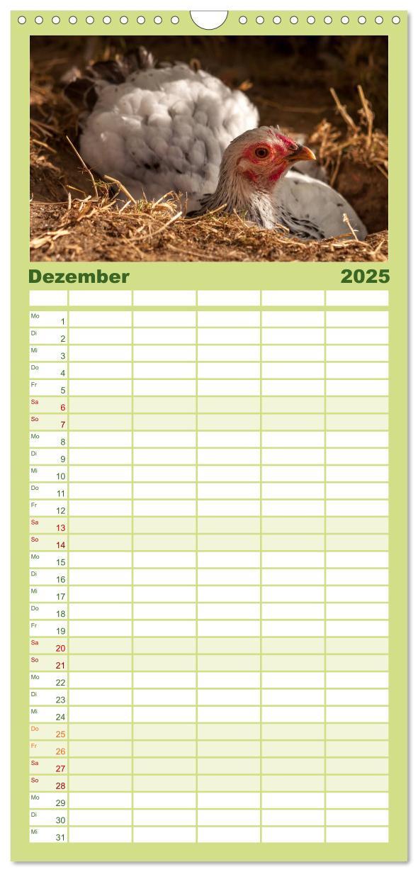 Bild: 9783457116302 | Familienplaner 2025 - Gartenhühner mit 5 Spalten (Wandkalender, 21...