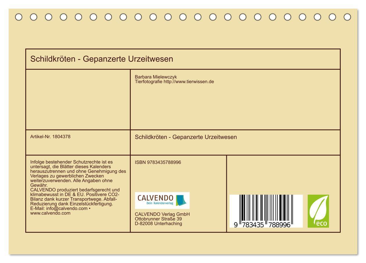 Bild: 9783435788996 | Schildkröten - Gepanzerte Urzeitwesen (Tischkalender 2025 DIN A5...