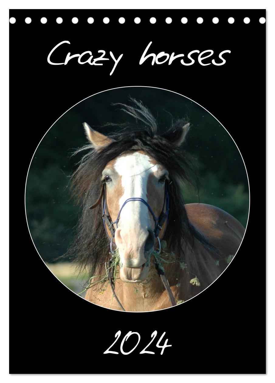 Cover: 9783383558467 | Crazy horses (Tischkalender 2024 DIN A5 hoch), CALVENDO Monatskalender